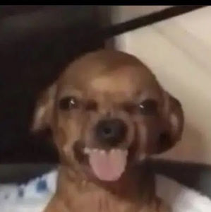 Meet your Posher, Ridhika